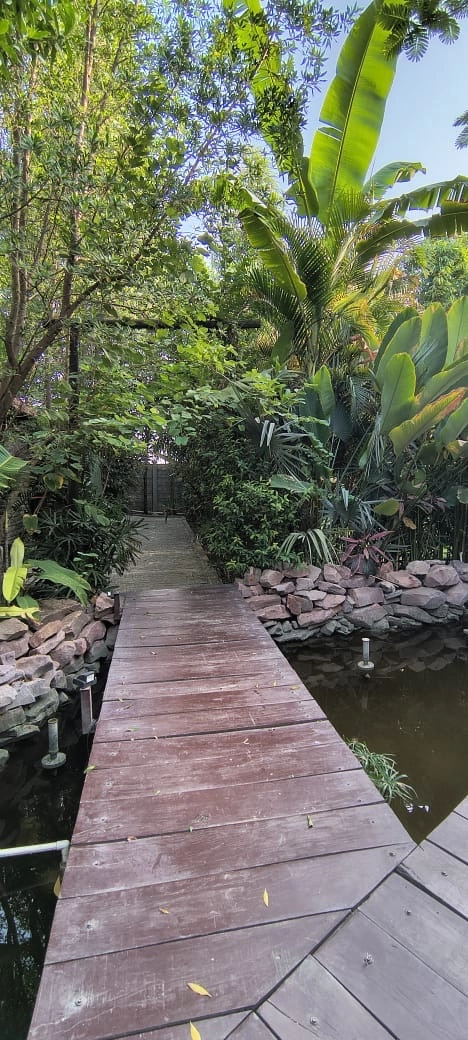 Modern Resort - Image 101 of 108